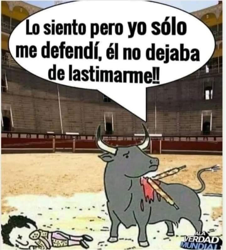 mayumiguillen's tweet photo. #LaTauromaquiaEsPerversa #NoAlMaltratoAnimal https://t.co/tuvg68M7sh