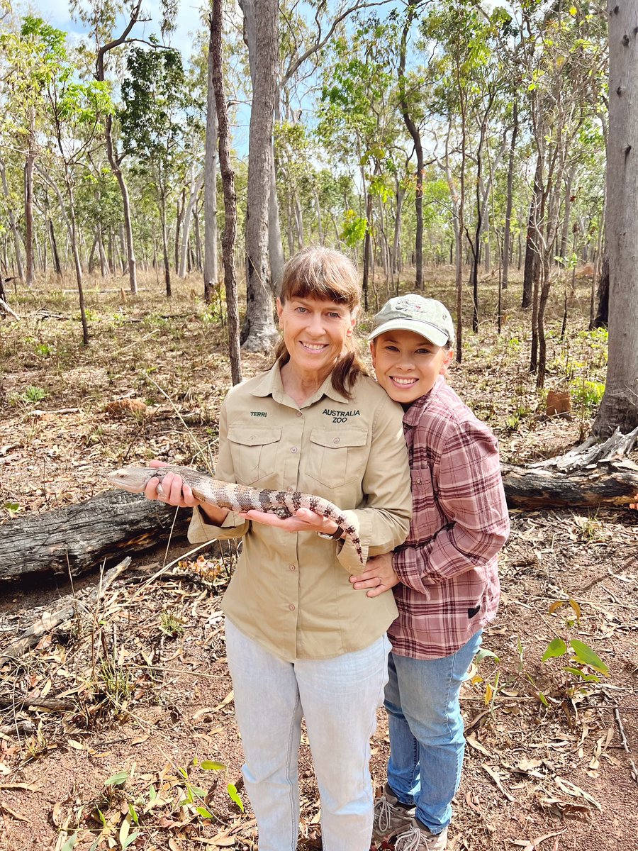 Getting a sweet blue tongue lizard off the track at the Steve Irwin Wildlife Reserve.