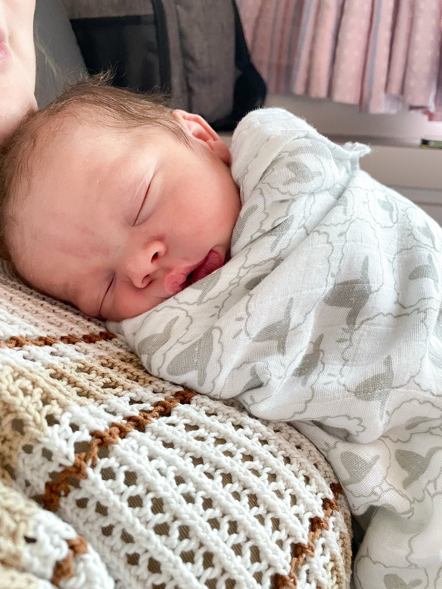 Thrilled to introduce Rex Harrison Jones. Everyone is happy and healthy and sleepy!