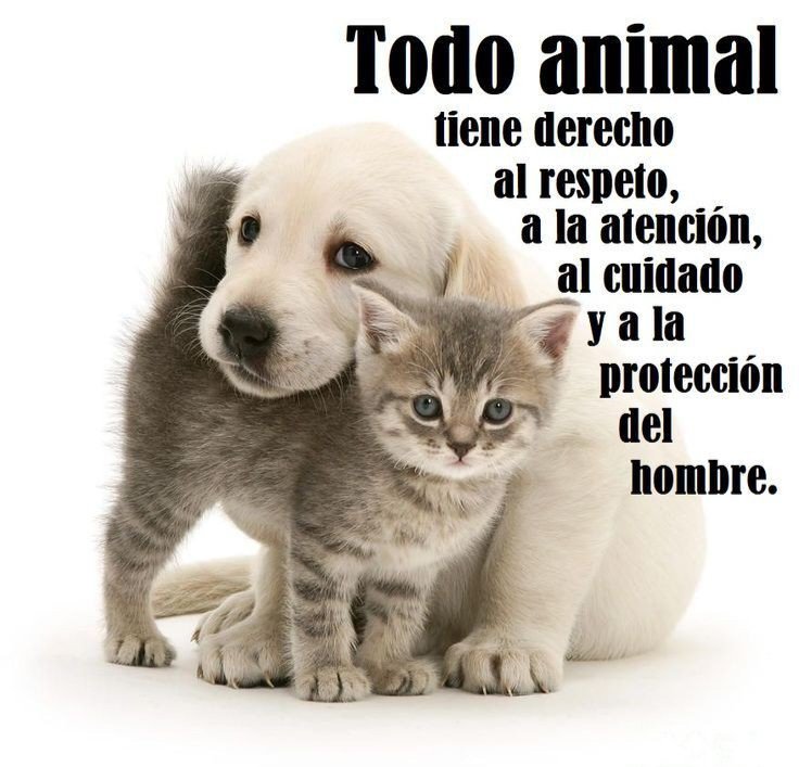 SI PIENSAS IGUAL QUE YO DALE UN❤️