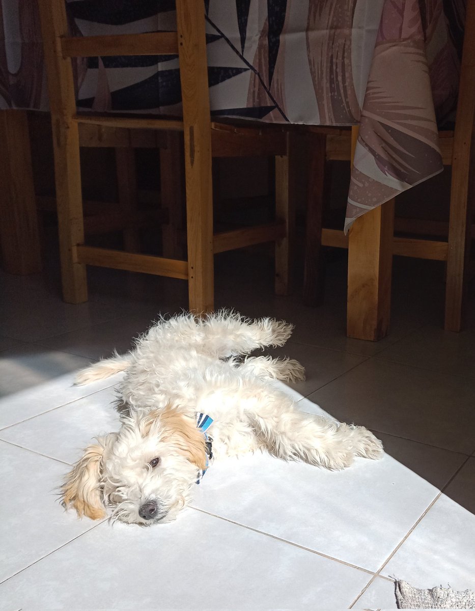 sky ⊙⊝⊜⁷ tweet media