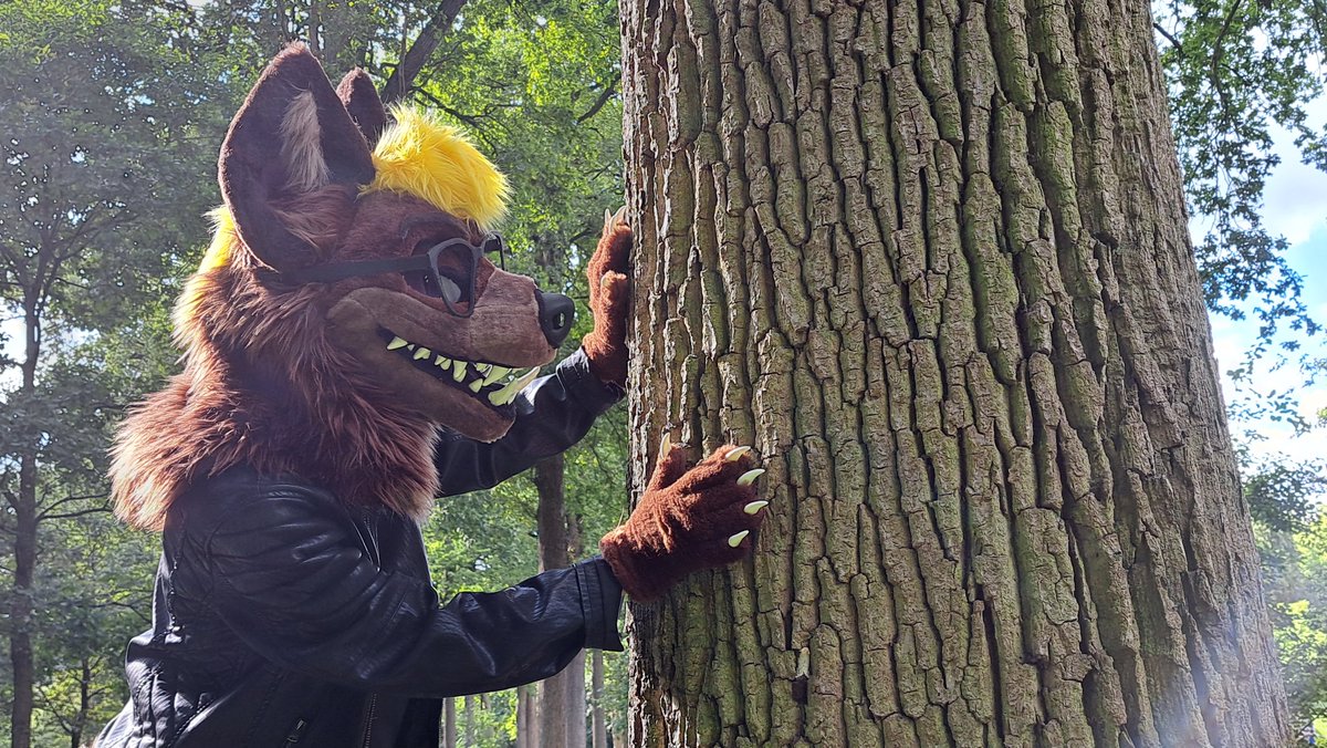 JoeyFurryTrash's tweet photo. I am feeling ✨🦋whimsical 🔮✨
#elftopia

🪡:@Nightmarez_S
📸:@fok https://t.co/TMj1NHvq3m