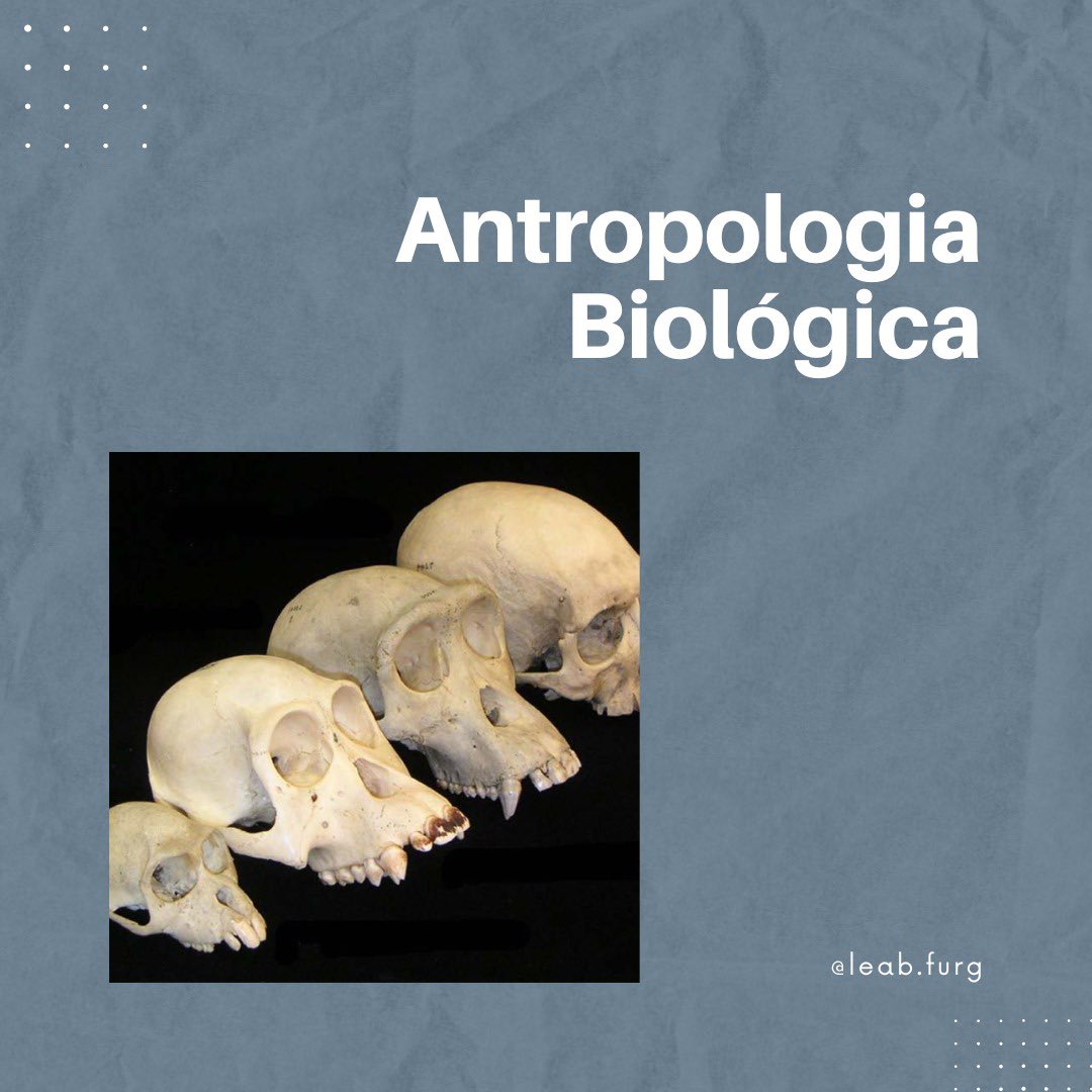 leab_furg's tweet photo. No #tbt de hoje vamos relembrar um assunto já falado aqui: #antropologia biológica. Segundo a ALAB e AAPA, em resumo, é o estudo da evolução, adaptação e variabilidade biológica dos humanos e seus ancestrais e utiliza perspectivas evolutivas, transculturais e bioculturais. https://t.co/vUoiZgzMha