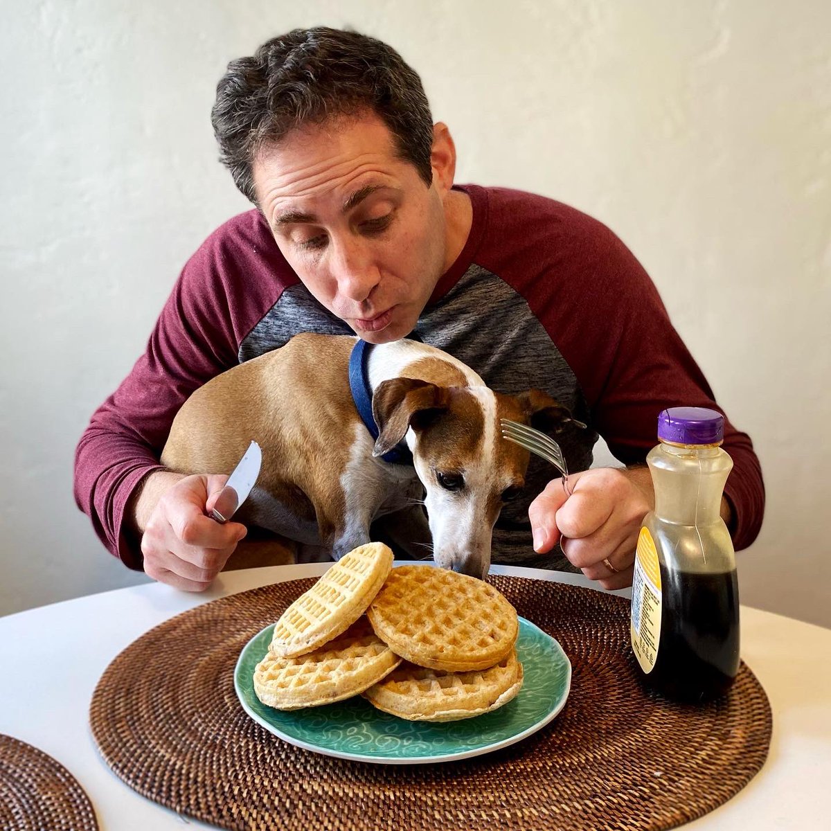 Sheri_Fink's tweet photo. HAPPY NATIONAL WAFFLE DAY! 🧇 Celebrate by reading about culinary landmarks in THE LEANING TOWER OF PIZZA by best-selling author @DerekTaylorKent ! 🍕 Kids share stories about monuments, artwork, &amp; architecture. 🖼 Their imaginations run wild with delicious possibilities. 🍩 https://t.co/9w9bSHI1pU