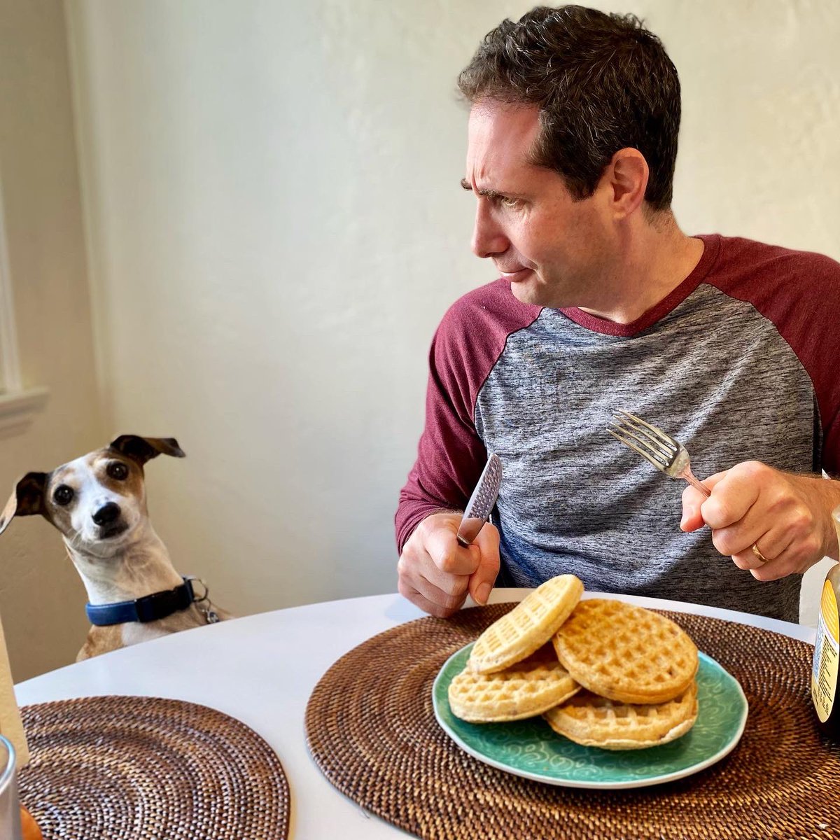 Sheri_Fink's tweet photo. HAPPY NATIONAL WAFFLE DAY! 🧇 Celebrate by reading about culinary landmarks in THE LEANING TOWER OF PIZZA by best-selling author @DerekTaylorKent ! 🍕 Kids share stories about monuments, artwork, &amp; architecture. 🖼 Their imaginations run wild with delicious possibilities. 🍩 https://t.co/9w9bSHI1pU