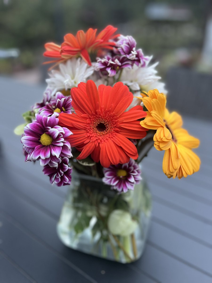 kimsesh's tweet photo. Day 1 as an instructional coach is in the books….5 miles walked and a special surprise delivery from the hubs! 🥰 So excited about this new journey! https://t.co/0TXpdA1fkU