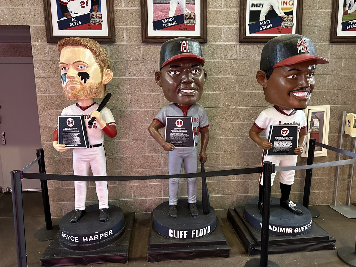 JohnCerilli's tweet photo. My first visit to #FNBField, home of the @HbgSenators, the AA #Nationals! Beautiful park with great food (look for The Spot) and a wonderful atmosphere, it sits on City Island in the middle of the #SusquehannaRiver. That’s #Grrrounder I’m the first picture! #baseball @MiLB ⚾️ https://t.co/JoiNXtMOAn