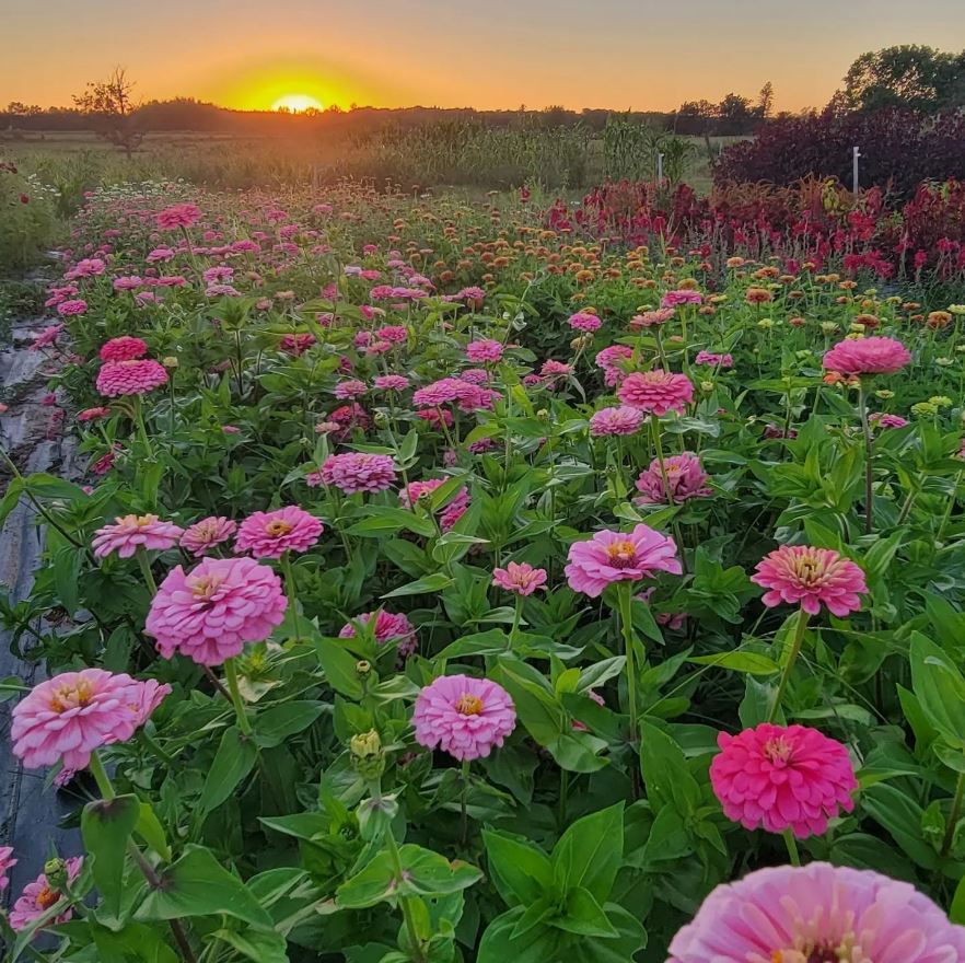 Visit Brainerd tweet media