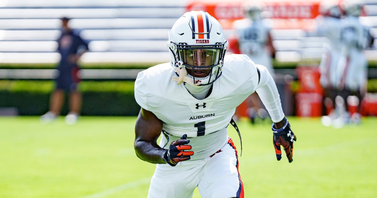 Takeaways from @King_Mighty1 recent meeting with the media, focusing on -- + a 'talented' veteran secondary becoming more consistent + newcomer standouts like @_kayinlee @jchart_ @cchance_21 + the always 'fun' @coachcrimedawg and more (On3+) on3.com/teams/auburn-t…