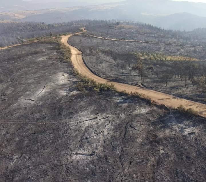 aliosmanonder34's tweet photo. Çanakkale'mizin son hali! Paris İklim Anlaşması'na uyumlu şehirler dedikleri işte bu. 5G'ye engel kalmadı. Akıllı Şehirler bakın nasıl hızlanadırılacak burada. Ormanları sıcak hava yakıyor diyen akıl yoksunları yeni dünya düzeni kuruluyor. #CanakkaleYanıyor #Çanakkale #yangın https://t.co/A8KbShmxvN