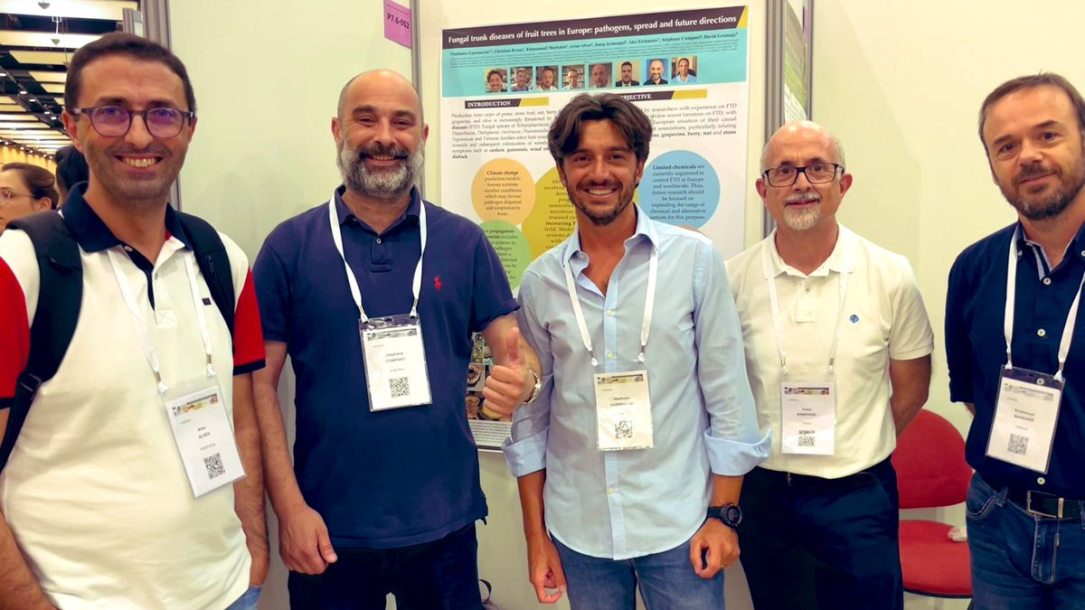 VladiGuarnaccia's tweet photo. The European #fungal #trunk #disease core team is active! First paper is published on #Phytopathologia #mediterranea @MugnaiLaura and we (almost) all were finally together @icpp2023 Let’s move to the next project! #alves #compant #armengol #markakis #kraus #eichmeier #gramaje https://t.co/XWiHvOFRBQ