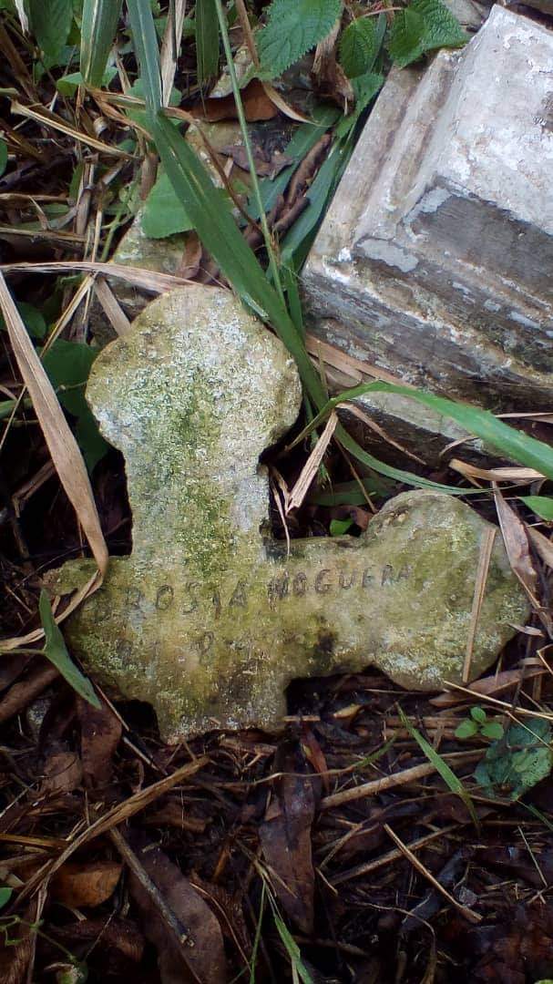 TBT. Ruinas del antiguo cementerio del pueblo de Tocuyito. Aquí yacen los restos de muchos de los muertos en la batalla de carabobo de 1821 y en la batalla de Tocuyito de 1899 durante la Revolución restauradora. Es un lugar histórico que debe ser recuperado.