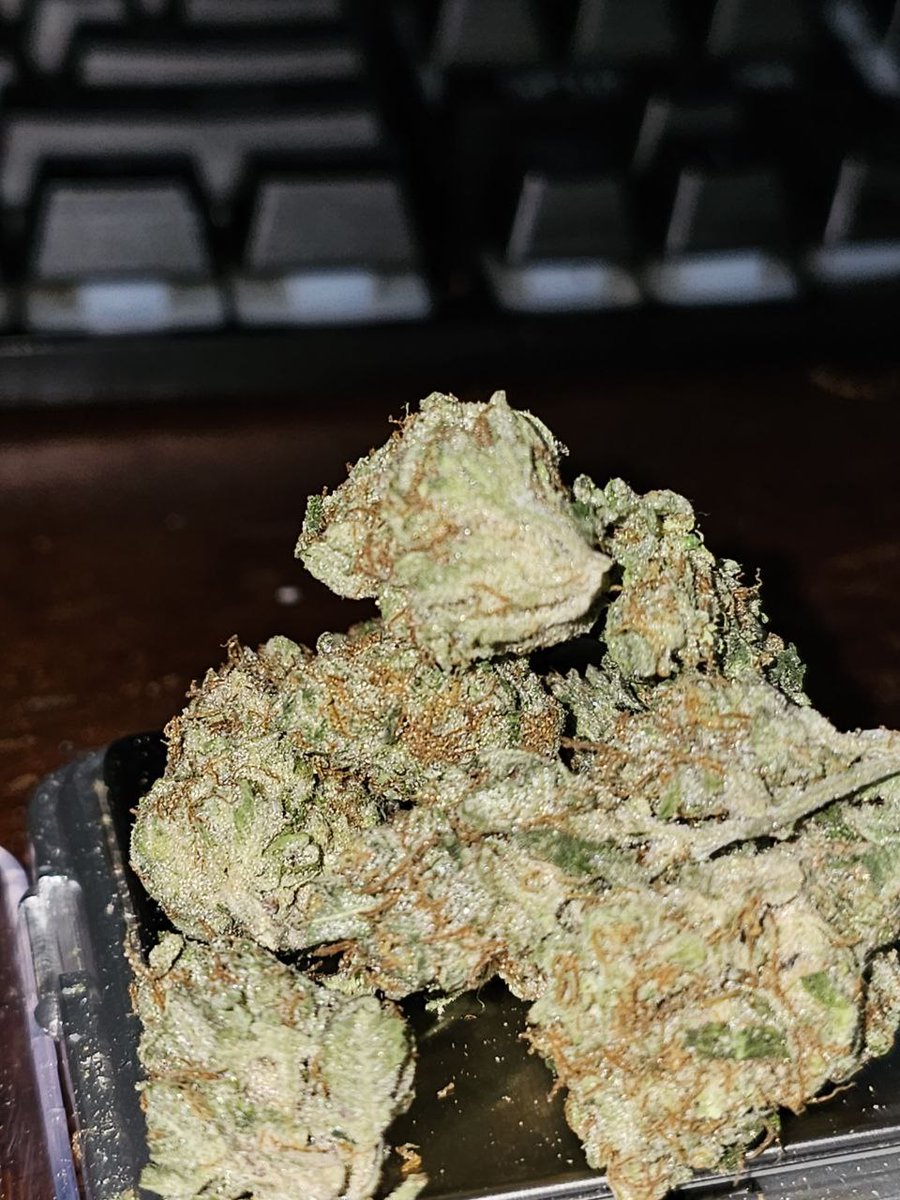 JonesRealcool's tweet image. Tap in
Let's get it. Tap in now and 
Pop it .🔥🔥🔥🔥🔥
#minnesota #minneapolis #mn #twincities #onlyinmn  #exploremn #nature #photography #exploreminnesota #wisconsin #california #newyork #minnesotalife #minnesotaexposure #texas #usa    #captureminnesota #smallbusiness