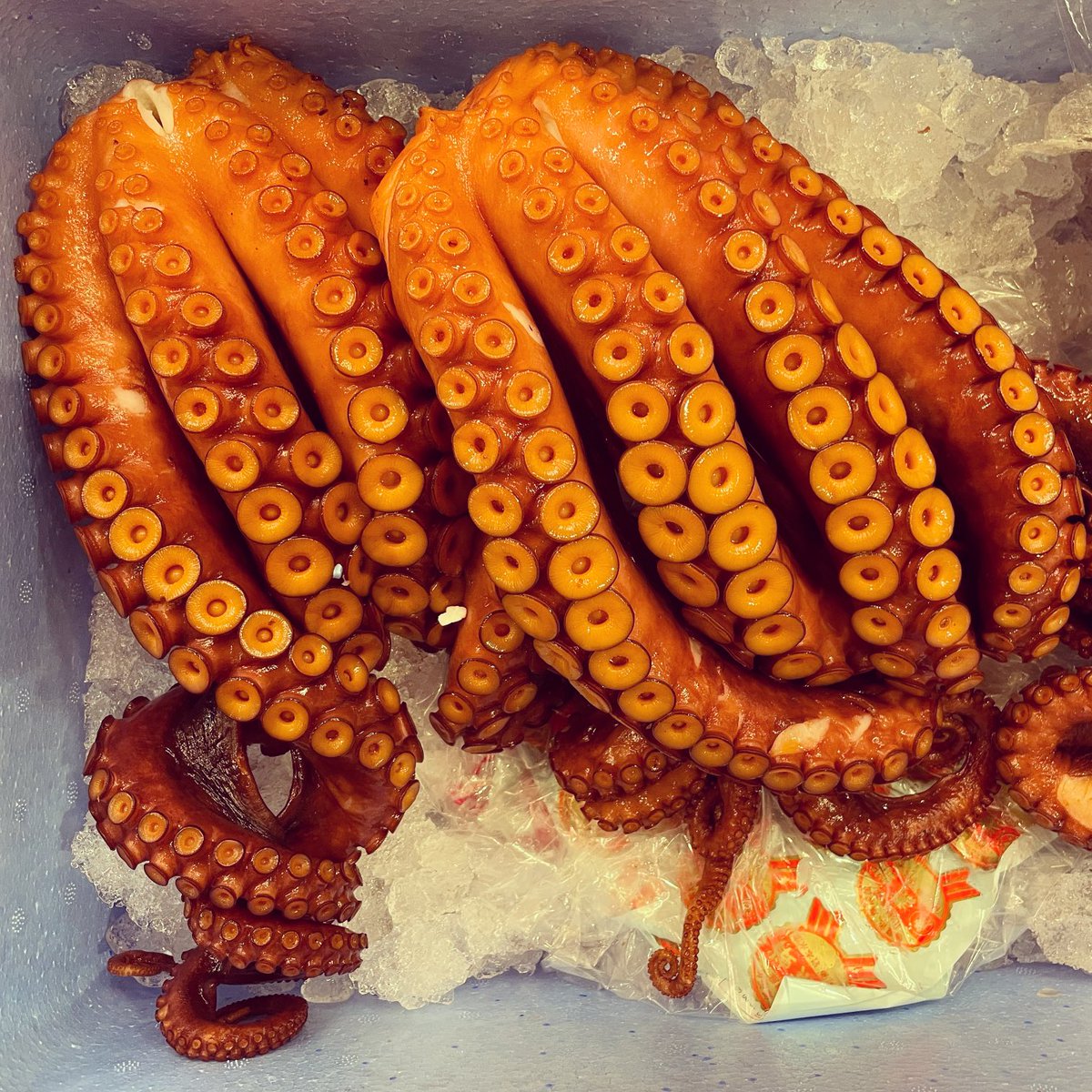 SobaSycamore's tweet photo. 8月25日(金)
【北海道産・ヤナギダコ】…ここ数年シカモアの定番食材となっております☆
昨晩は音楽業界時代の大先輩達がご来店で幸せな営業となりました☆☆
※本日はエリちゃん&amp;女将とお待ちしております☆☆☆今宵も満席をいただいております。 https://t.co/0vOkorStSw