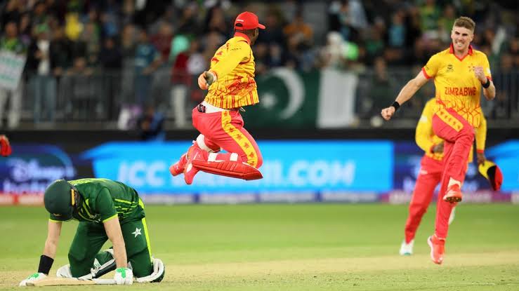 @daniel86cricket Dog #daniel86cricket   Pakistan win by one wicket as a tribute to Pakistan lost one run against #Zimbabwe T20 #CWC22 😂 its not football ⚽ soccer 😂