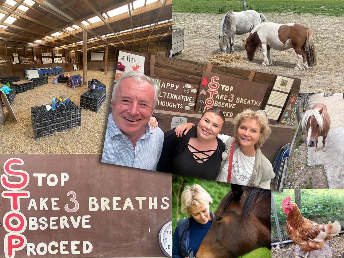 Mane Chance – Helping Horses & Helping people.
A wonderful visit to Mane Chance near Guildford, where my daughter Polly and I were generously hosted by Jenny Seagrove.... highsheriffofsurrey.com/2023/08/25/man…
#manechance #surreylieutenancy #surreylive #Horses #horsesancuary #jennyseagrove