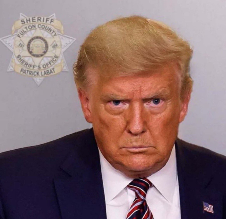 VABVOX's tweet photo. #Breaking This is the most unpatriotic person in America.
Twice-impeached four times-indicted twice-convicted  former president Donald Trump who tried to destroy our democracy and steal our votes. 
#TrumpMugShot
#TrumpArrest https://t.co/5qf3v0bK8I