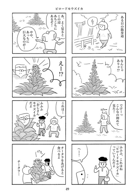 ビロードモウズイカ(再掲載) #さくまのまんが