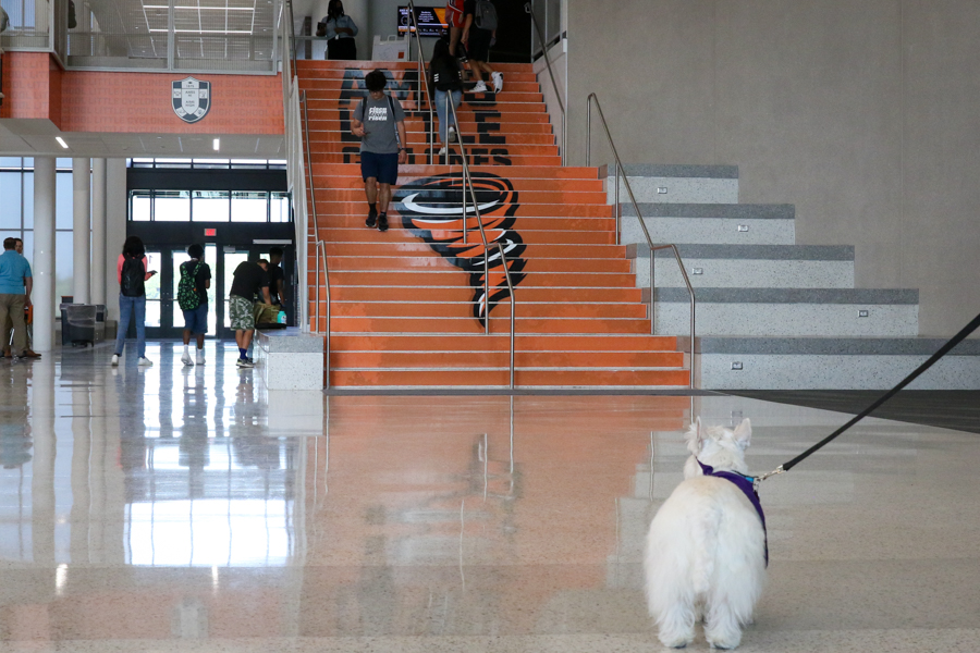 ACSD_News's tweet photo. An inside look at Ames High School and Ames Middle School today as all 6th through 12th graders returned. Have an amazing school year students, teachers, and staff! #AmesCSD #AmesHighPride #AMSLeads https://t.co/i494L6eJtk