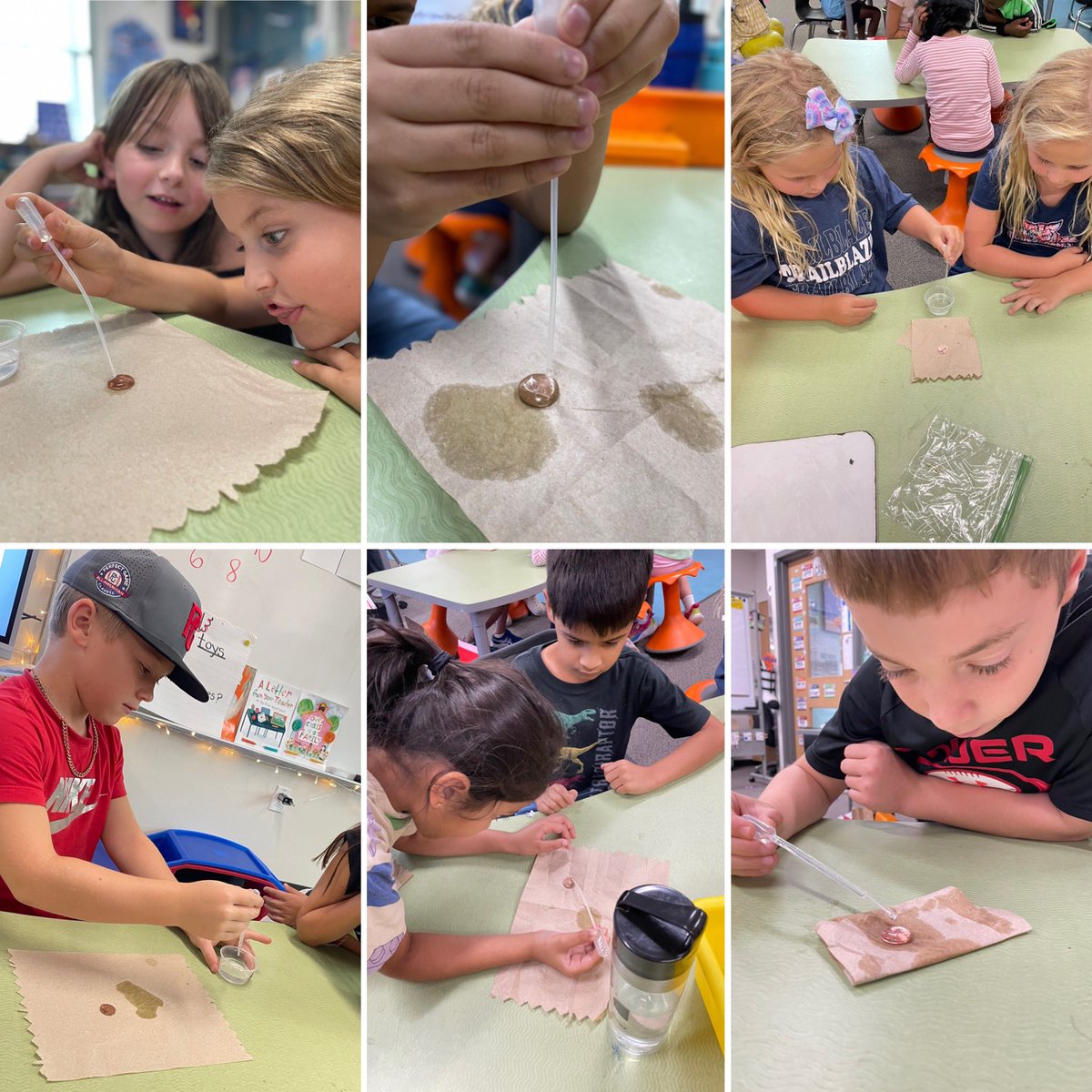 Ellyssa Netherton tweet media