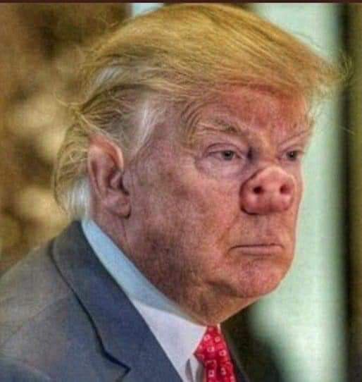 TheLiberalPOV's tweet photo. #DonaldGump charging form was completely false. Heโs neither 6 ft 3 or 215 lbs. That would be a linebacker in the @NFL.
Plus he said his hair color is blonde or strawberry. It should be #Clairol Nice and Easy #8.
#TrumpMugShot https://t.co/6efF1OQhqH