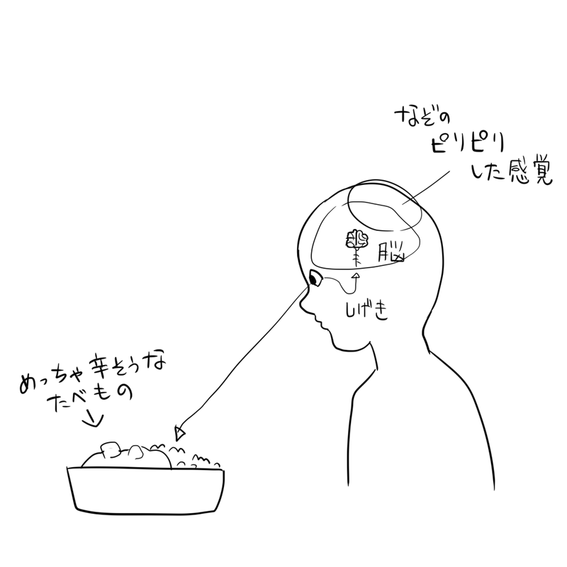 実物じゃなくてテレビとかでもなる 