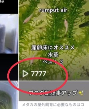 timah0822's tweet photo. TikTokに前投稿したの見たらちょうど7777だった🤩何かラッキーな気分☺️ https://t.co/4AK90ZnGhg