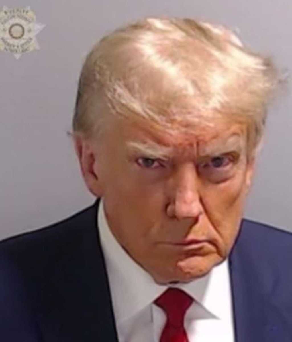 #Trumprisoner #FakePresident