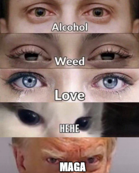 meowtoshling woofamoto tweet media