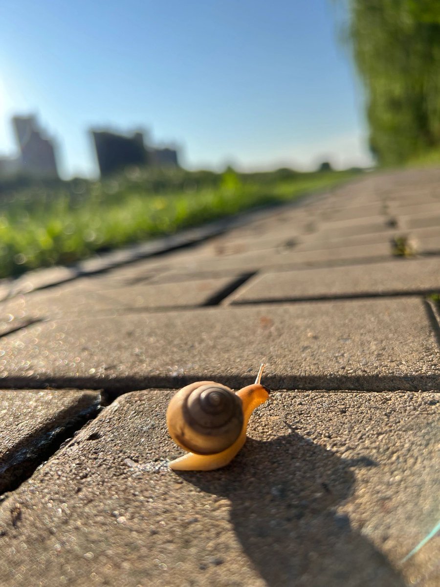 alerixel's tweet image. Warm the sunshine every day with your cuteness and gentleness. Good morning!❤️❤️