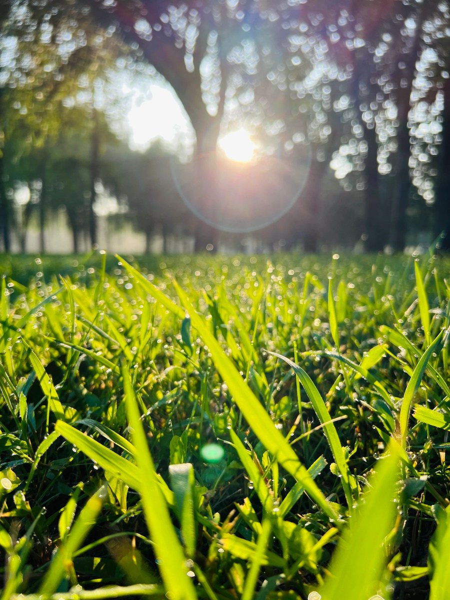 alerixel's tweet image. Warm the sunshine every day with your cuteness and gentleness. Good morning!❤️❤️