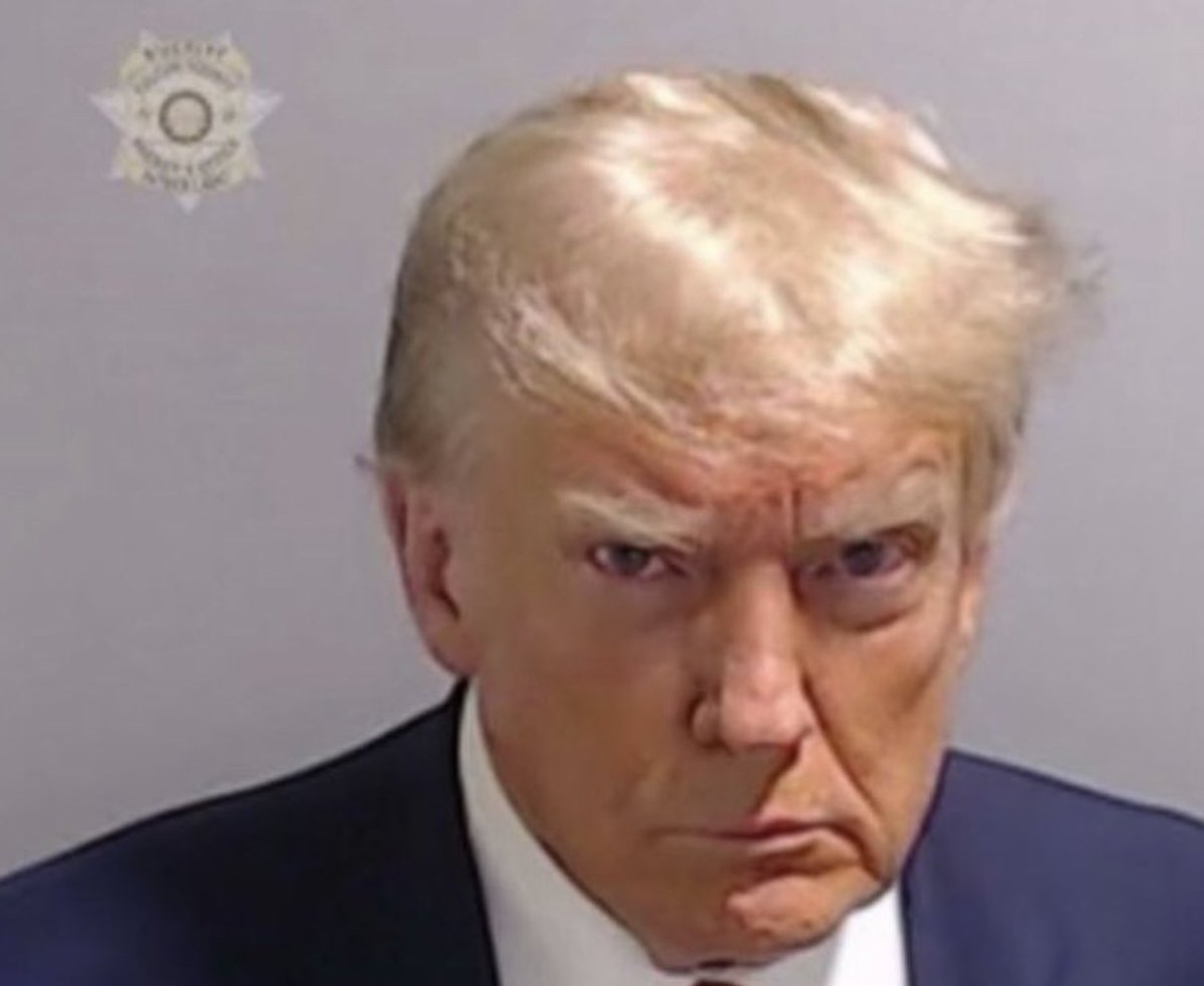 PalmerReport's tweet photo. Here is Donald Trump’s real mugshot. He looks like shit. https://t.co/F9XV8a4sLo