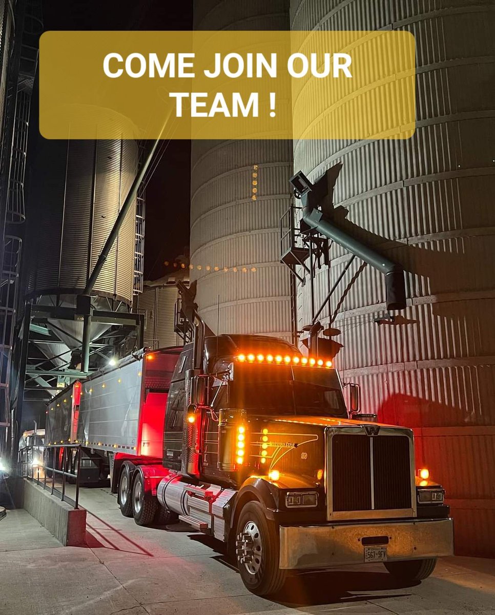 Bridget Schill (@bridgetschill) on Twitter photo Qualified AZ drivers welcome, resumes and drivers abstract can be emailed to bschill@shawridge.ca Grain Elevator Arthur, ON
RETWEETS APPRECIATED! <a href="/Shawridgefarm/">Shawn Schill 🇨🇦🇨🇦</a> Qualified AZ drivers welcome, resumes and drivers abstract can be emailed to bschill@shawridge.ca Grain Elevator Arthur, ON
RETWEETS APPRECIATED! <a href="/Shawridgefarm/">Shawn Schill 🇨🇦🇨🇦</a>