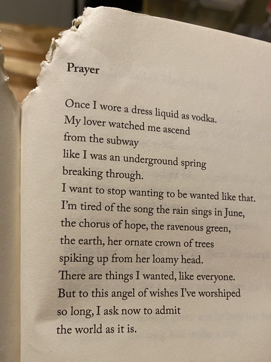 @SealeyChallenge @knifeforkbook @conyerclayton @LaurieDGraham @pesbo @robmclennanblog @invisibooks @32_Poems @biblioasis @bookhugpress @CopperCanyonPrs @michaelprior06 24/31 for the @thesealeychallenge is ‘Like a Beggar’ by @PoetEllenBass from @copper_canyon_press 
(my dog is jealous of all the time I’ve been spending with poetry books this month. Or he just has really good taste in books.)