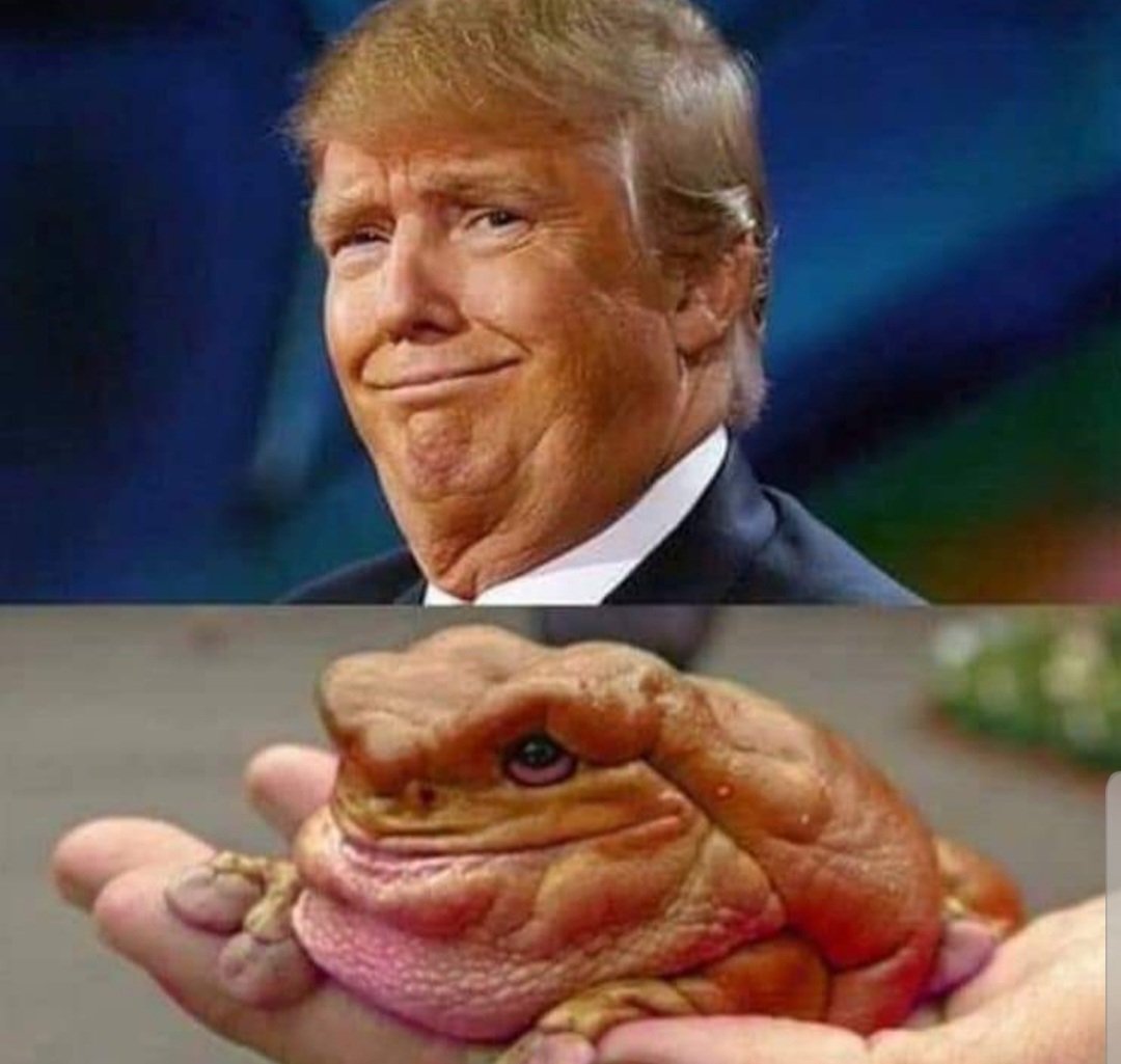 LanceCBraun2's tweet photo. @RpsAgainstTrump Here are 2 mug shots that were discarded.. https://t.co/dlQftvR4Na