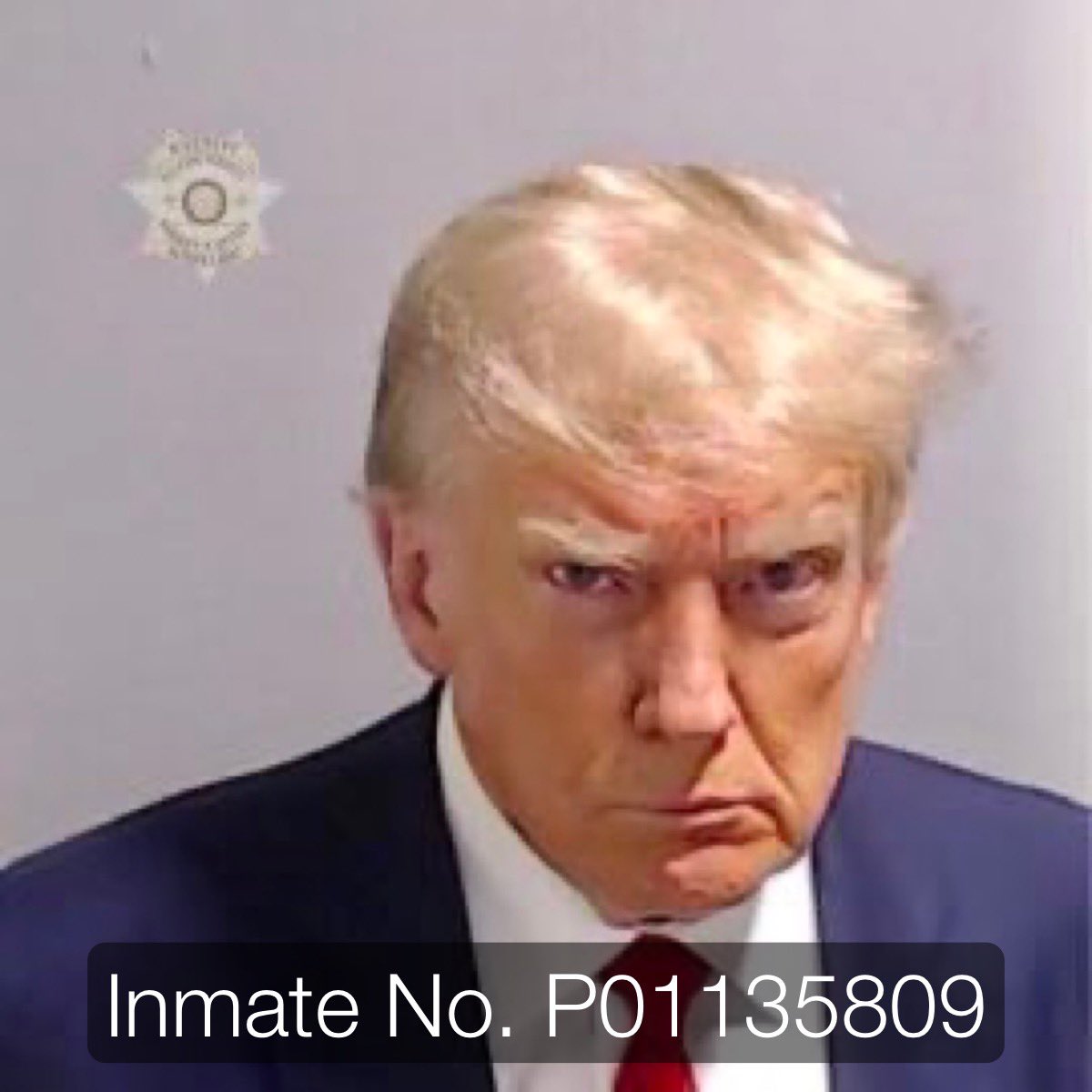 He enjoyed committing the crimes but is pissed at being caught? Idiot! #TrumpMugShot #TrumpMugShotDay