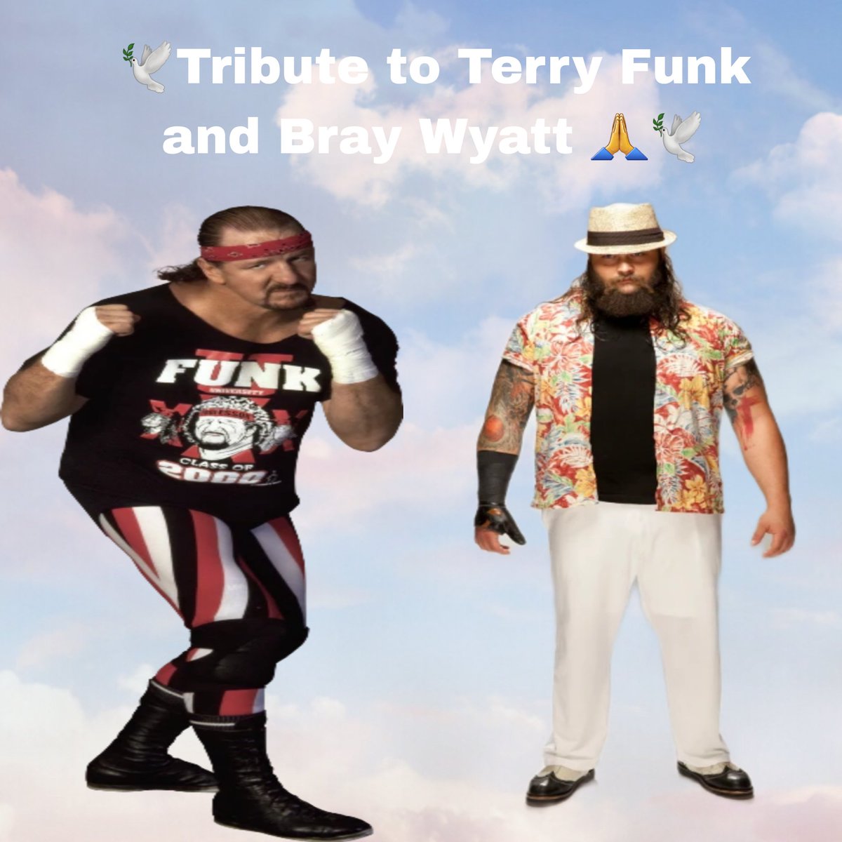 I want to pay a Tribute to both Terry Funk & @Windham6 💔🥺😭🙏🕊 both #RIPTerryFunk #RIPBrayWyatt