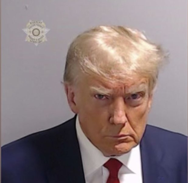 This puts a smile on my face. And I call BS on his self declared weight of 215 lbs, #TrumpMugShot #TrumpArrest
