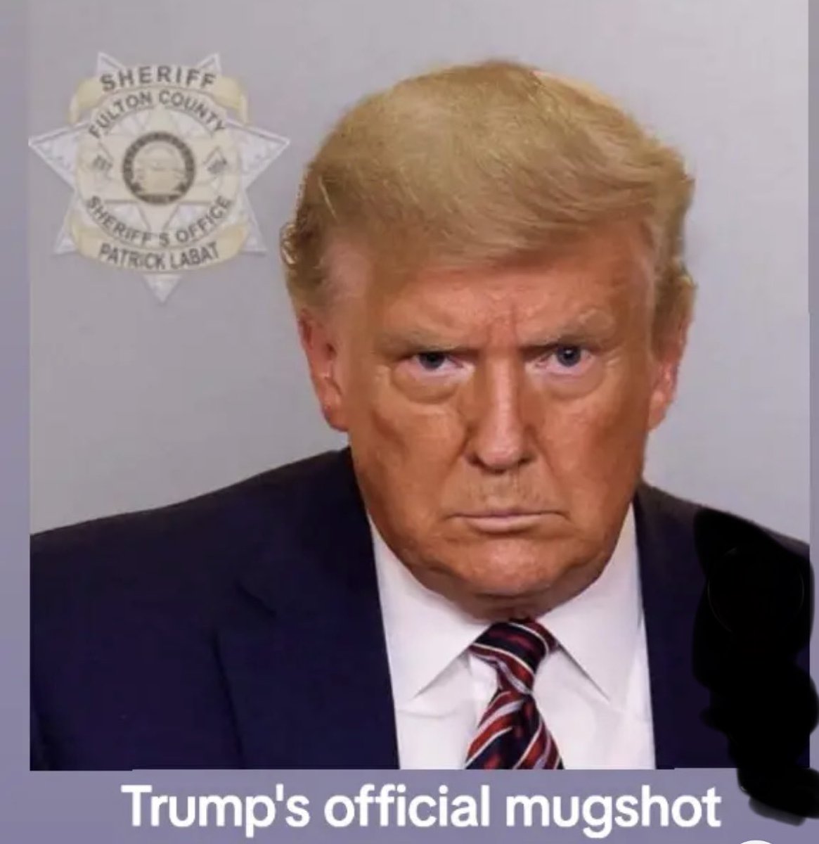 jadewing1's tweet image. 