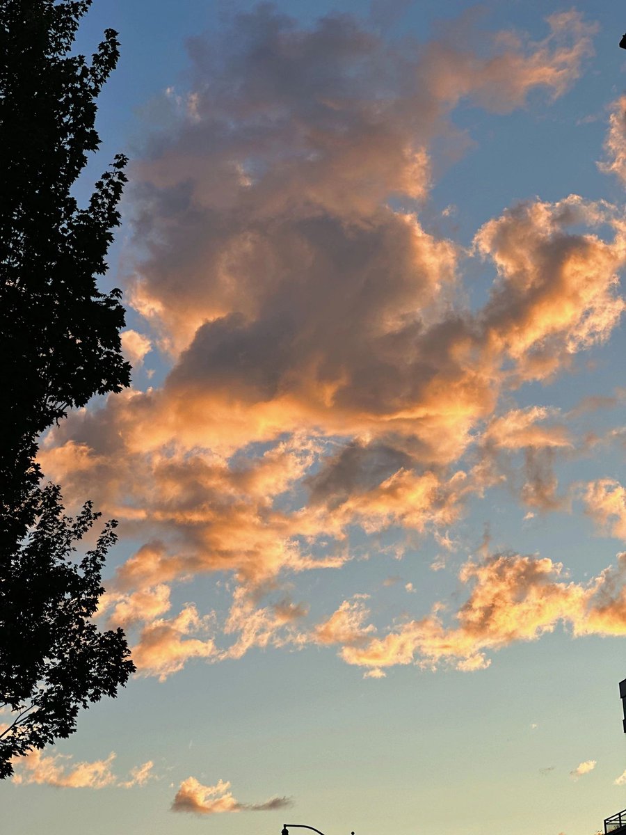 The sun is setting now to rise again tomorrow🌞