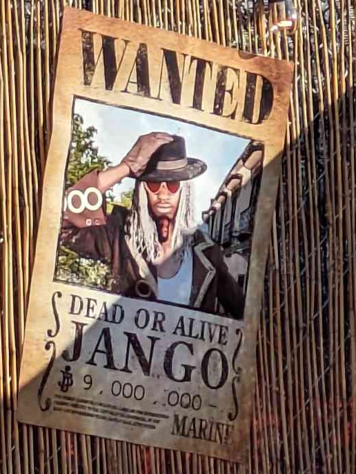 Bounty posters in One Piece live-action