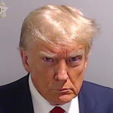 Will Witt tweet media