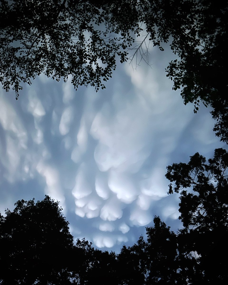 TMSkyHumPhoto's tweet image. Interesting clouds after the scary thunderstorm and tornado warnings. Anyone know what kind of clouds these are @ellenbacca ?