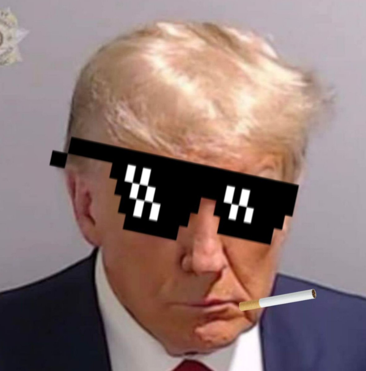 #TrumpMugShot #TaxationIsTheft