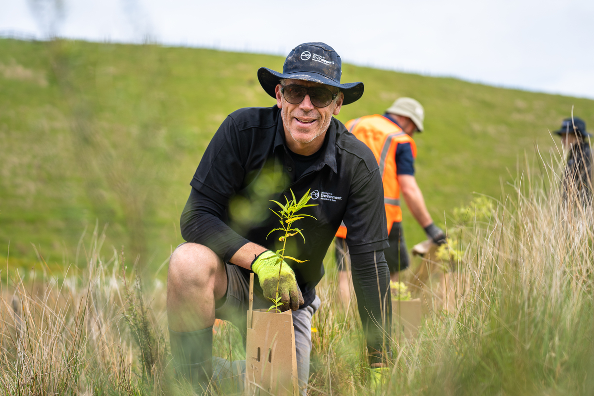 The Kaipara Moana Remediation programme has reached a milestone of one million native trees planted or contracted to go in the ground this winter.

Read more: scoop.co.nz/stories/PO2308…
