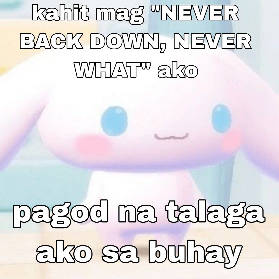 cinnamoroll medj ia (@cinnamonoypi) on Twitter photo 