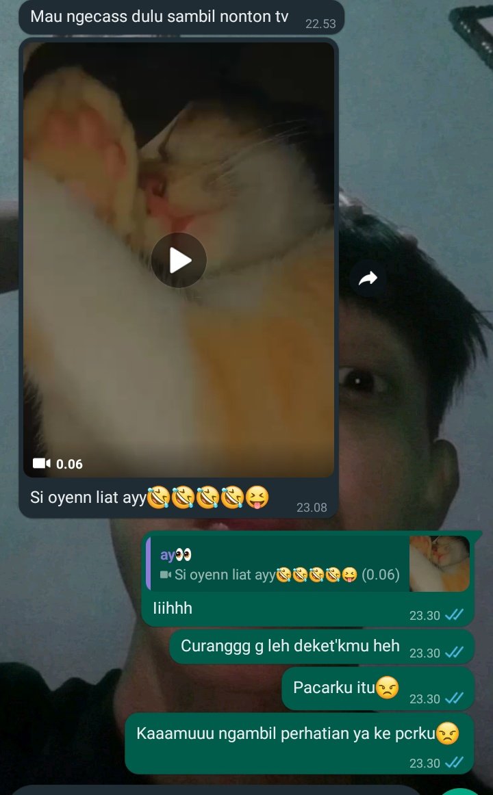 Sbnrnya saya pencinta kucing tapi kalo kucingnya deket deket ma pcrku ya aku tidak rela ya.