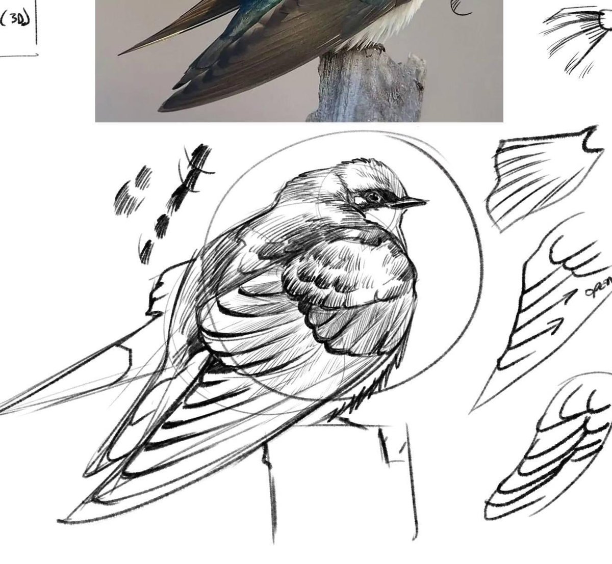 Illustration by Peter Han #DynamicBible #Sketch