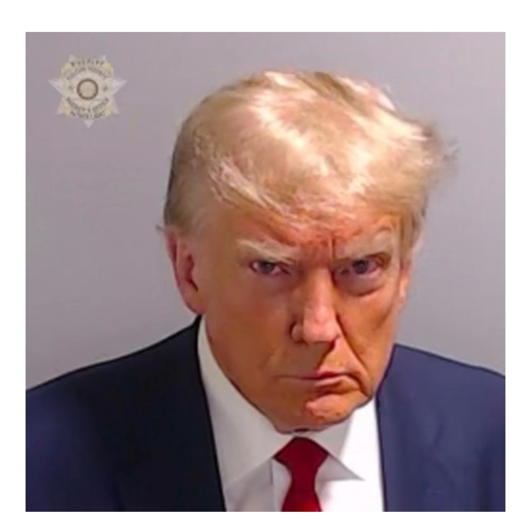 thatsnotrightpo's tweet image. He tried to overthrow our democracy. He tried to circumvent our election. He tried to install himself dictator. F around, find out. 

#nothere
#americawithstood
#lockhimup