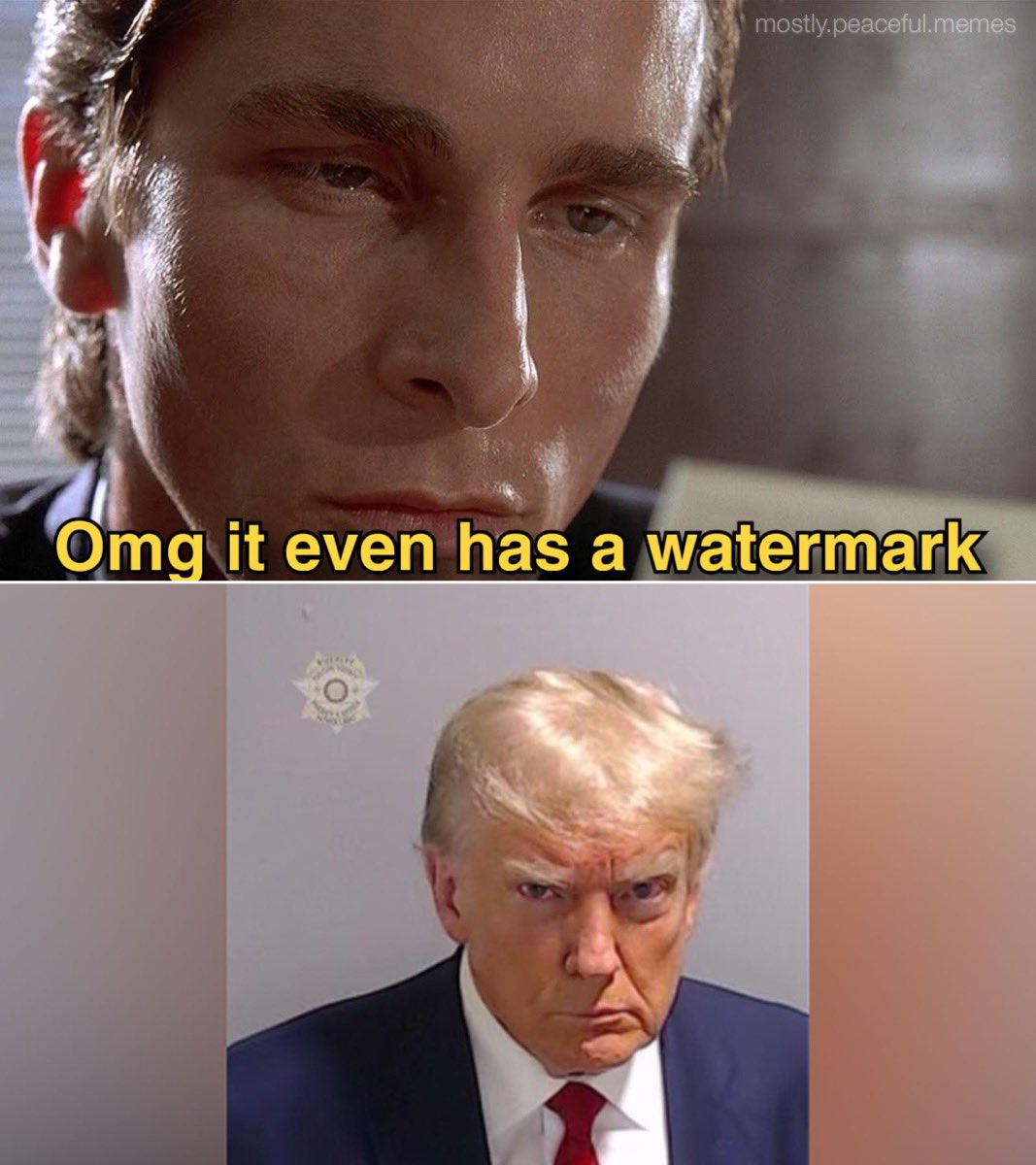 Mostly Peaceful Memes tweet media